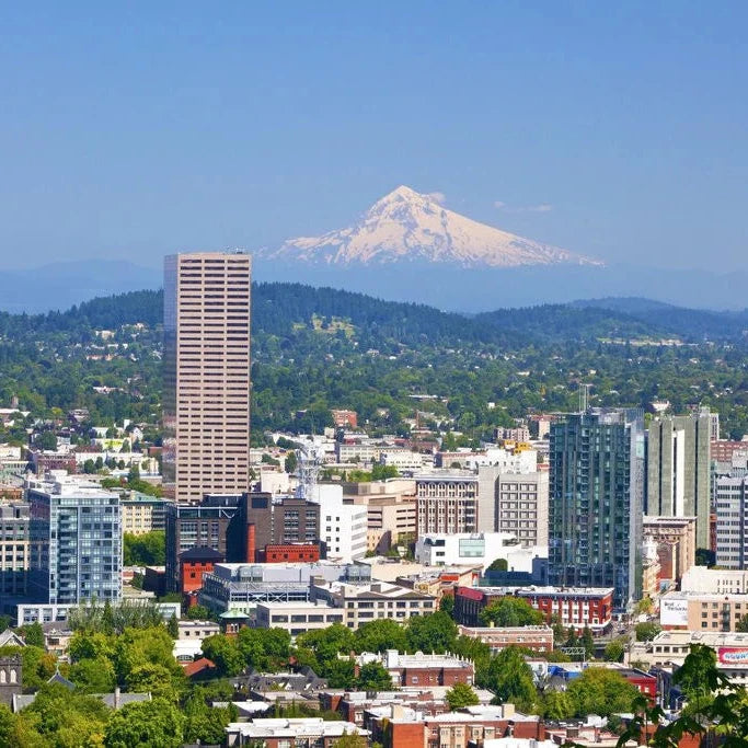 8 lbs Premium Dark Sweet Cherries PORTLAND AREA PICK-UP